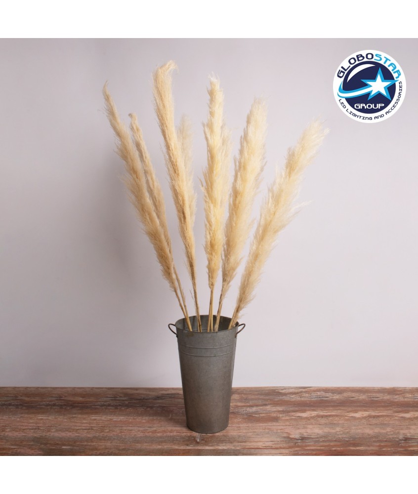 GloboStar® PAMPASGRASS 36510 Αποξηραμένο Φυτό Γρασίδι της Πάμπας - Μπουκέτο Διακοσμητικών Κλαδιών Μπεζ - Εκρού Υ150cm - Σετ 5 τμχ